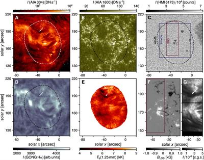 Subarcsecond Imaging of a Solar Active Region Filament With ALMA and IRIS